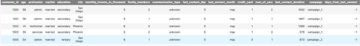 A preview of the dataset which has 11,162 records and 23 variables, including customer_id, age, profession, marital status, education, city, monthly income, family members, communication type, last contact day and month, credit card ownership, number of cars, last contact duration, campaign, days from last contact, and a column for previous campaign outcome.